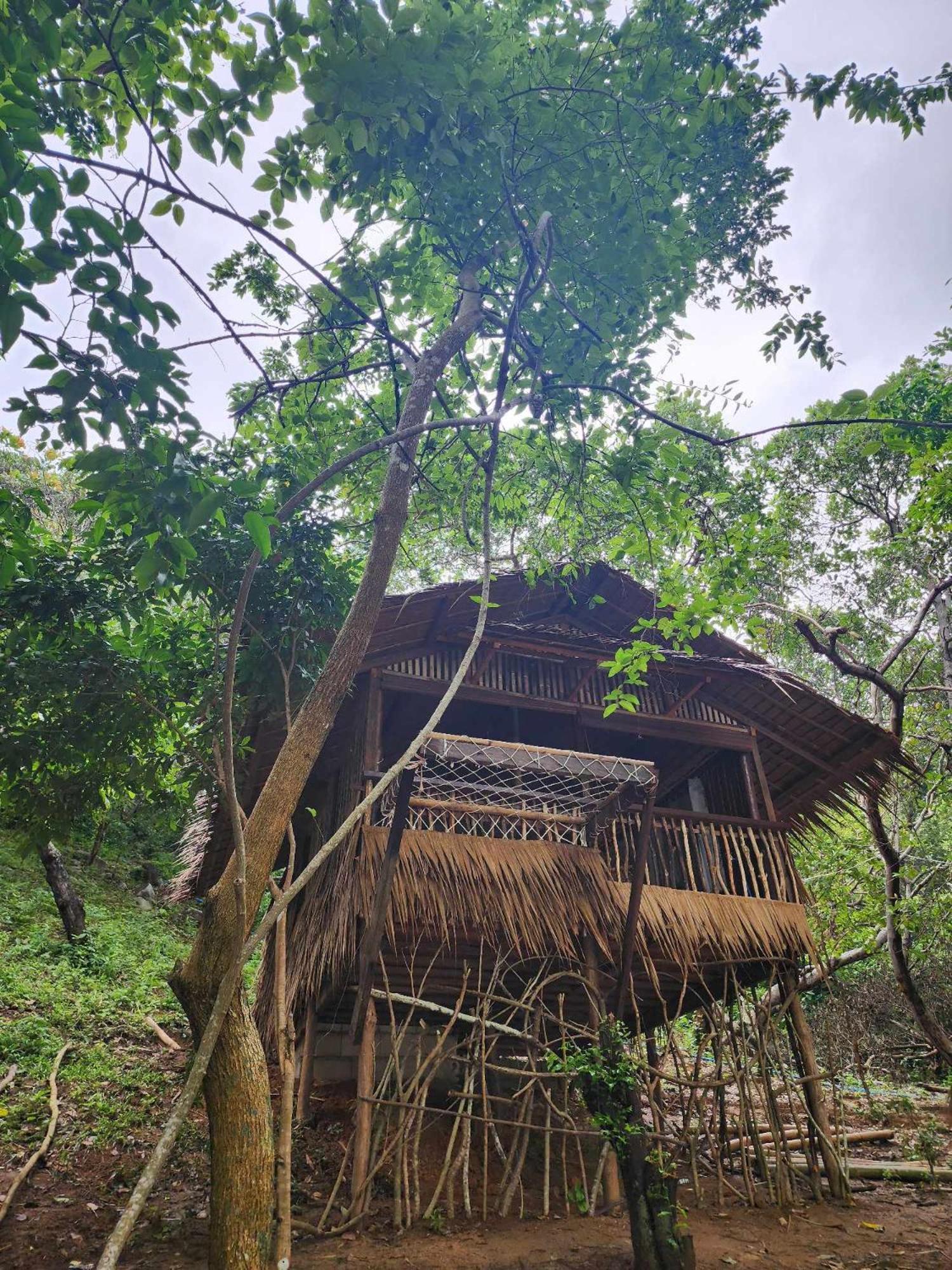 Bice Camp Darocotan Otel El Nido Dış mekan fotoğraf